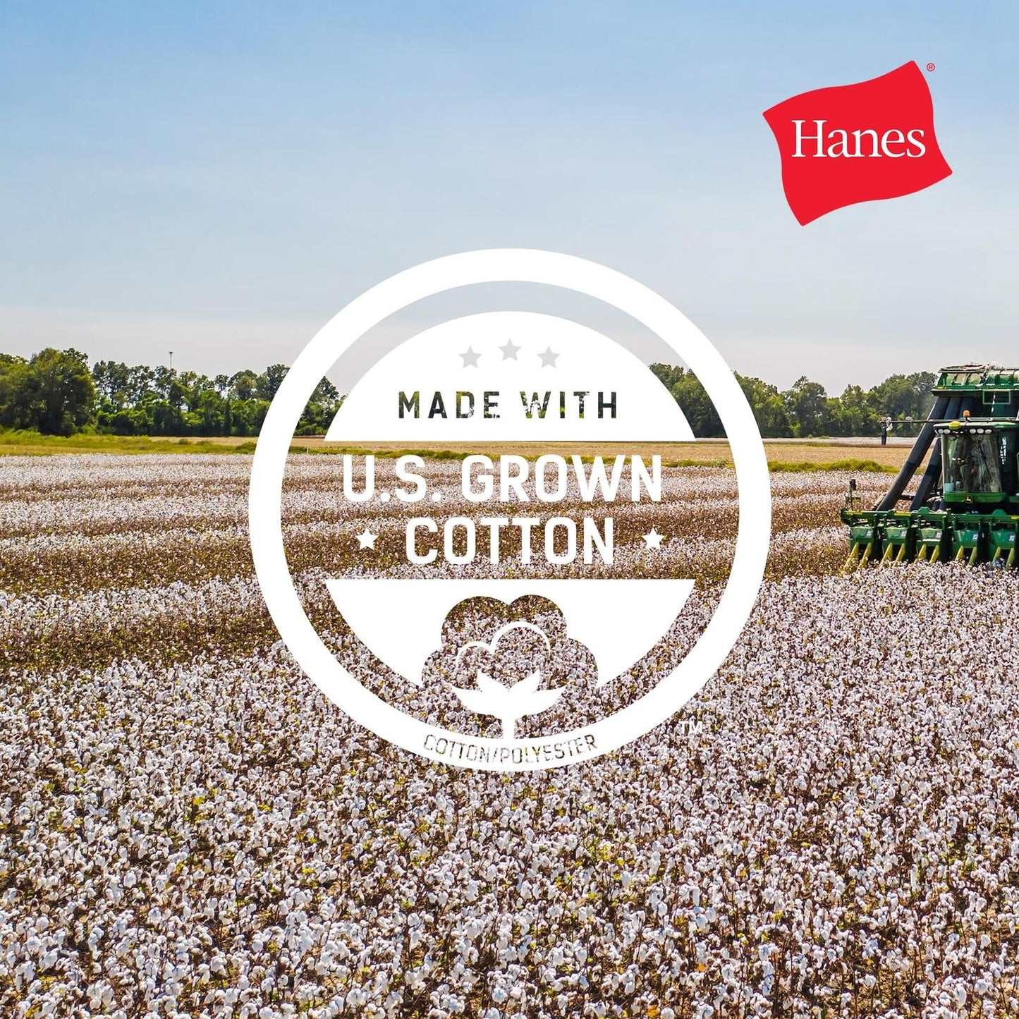 Hanes Mens Beefyt T-shirt Heavyweight Cotton Black Size M