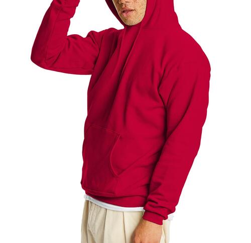 Hanes Mens & Big Mens EcoSmart Fleece Hoodie